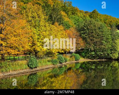 Europe, Germany, Hesse, Eastern Hesse, Rhön UNESCO Biosphere Reserve, Hessian Rhön Nature Park, Poppenhausen, 'Guckaisee' Recreational Area Stock Photo