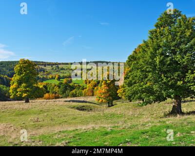 Europe, Germany, Hesse, Eastern Hesse, Rhön, UNESCO Biosphere Reserve Rhön, Hessian Rhön Nature Park, nature reserve, view over forest and meadow landscape near Wüstensachsen Stock Photo