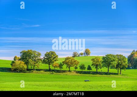 Germany, Bavaria, Tölzer Land, Münsing, district Degerndorf, Fürst-Tegernberg with Maria-Dank-Chapel Stock Photo