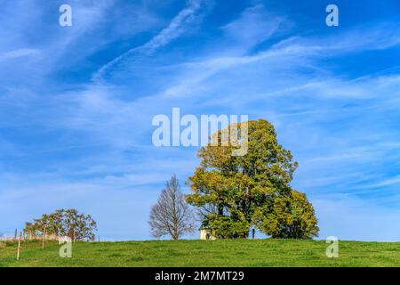 Germany, Bavaria, Tölzer Land, Münsing, district Degerndorf, Fürst-Tegernberg with Maria-Dank-Chapel Stock Photo