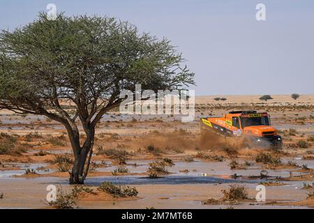 501 MACIK Martin (cze), TOMASEK Frantisek (cze), SVANDA David (cze), MM Technology, Iveco, Trucks, FIA W2RC, action during the Stage 9 of the Dakar 2023 between Riyadh and Haradh, on January 10th, 2023 in Haradh, Saudi Arabia - Photo Eric Vargiolu / DPPI Stock Photo