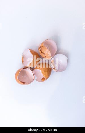 Empty brown eggshells on white background Stock Photo