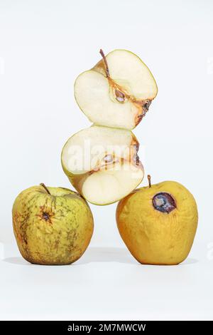 Spoiled, dehydrated and rotten apples, one apple cut in half, two apple halves, fruit isolated on white background Stock Photo