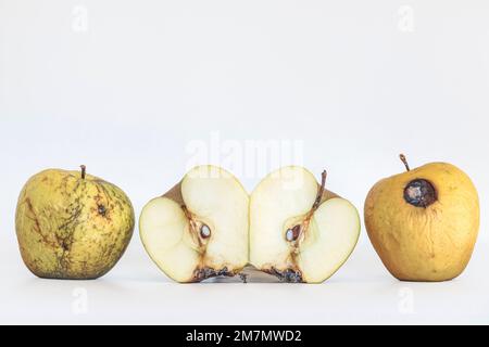 Spoiled, dehydrated and rotten apples, one apple cut in half, two apple halves, fruit isolated on white background Stock Photo