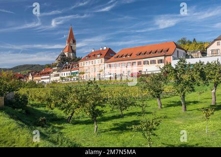 Weißenkirchen in der Wachau, Wachau, Waldviertel, Lower Austria, Austria Stock Photo