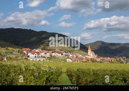 View over vineyards to Weißenkirchen in der Wachau, Wachau, Waldviertel, Lower Austria, Austria Stock Photo