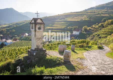 Wayside shrine and wine barrels in the vineyards of Spitz, Wachau, Lower Austria, Austria, Stock Photo