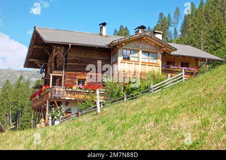 South Tyrolean farmhouse on steep slope at the edge of the forest Stock Photo
