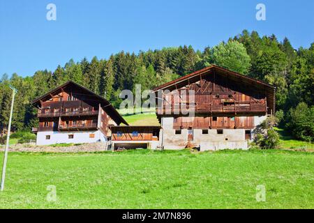 South Tyrolean farmhouse with barn on steep slope at the edge of the forest Stock Photo