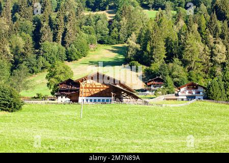 South Tyrolean farmhouses on steep slope at the edge of the forest Stock Photo