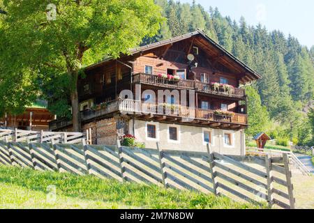 South Tyrolean farmhouse on steep slope at the edge of the forest Stock Photo