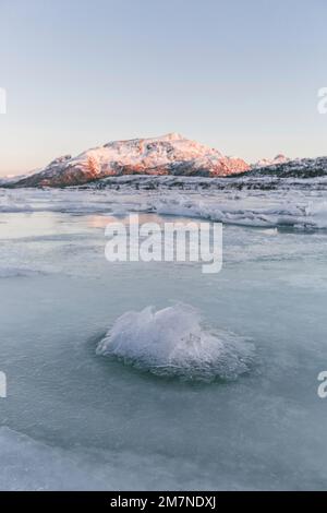 Frozen ice floe in Vesteralen, Norway, frozen and icy sea surface, fjord with ice floes, closeup Stock Photo