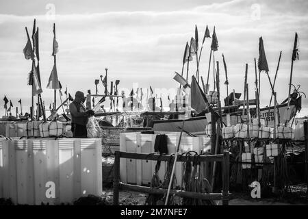 Algarve fish market, tavira, Portugal Stock Photo