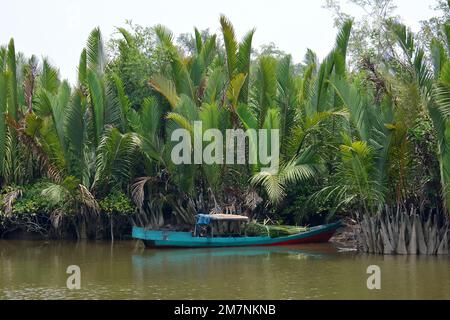 boat, Sekonyer River, swamp forest, Tanjung Puting National Park, Kalimantan, Borneo island, Indonesia, Asia Stock Photo