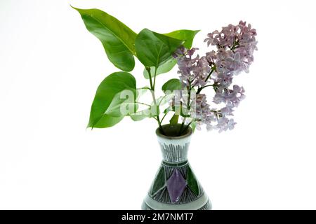 Branches with flowers and leaves of purple lilac are decorated in a small ceramic vase in the same colour against a white background. Stock Photo