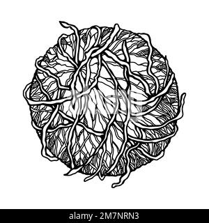 Hand drawn mumps virus isolated on white background. Realistic detailed scientifical vector illustration in sketch style Stock Vector
