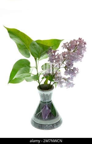 Branches with flowers and leaves of purple lilac are decorated in a small ceramic vase in the same colour against a white background. Stock Photo