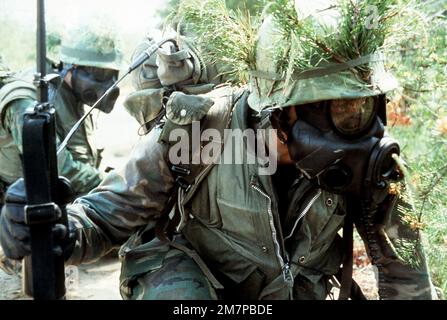 Marine officers carrying M-16A1 rifles participate in an Infantry ...