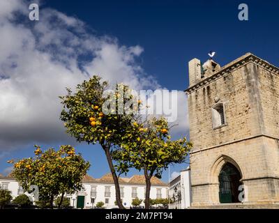 Orange trees by Cathedral (Se), Old Town, Faro, Portugal, Europe Stock Photo