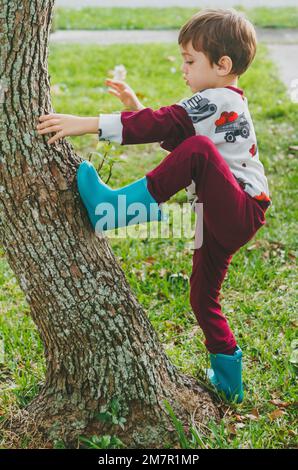 Little boy climbing tree in front yard wearing blue rain boots and valentine's day outfit Stock Photo