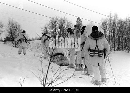 Six members of Co. C, 1ST Bn., 6th Marines, are dressed for cold weather combat training. One member is pulling a sled loaded with equipment as the Marines climb a hill. Their weapons are M-16A1 rifles and an M-60A1 machine gun. Country: Norway (NOR) Stock Photo