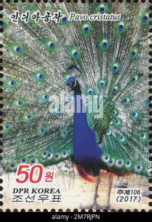 North Korean postage stamp from 2017 depicting an Indian Peafowl (Pavo cristatus) with fanned tail feathers, DPRK philately. Stock Photo