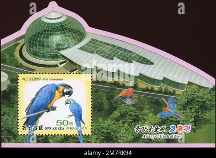 2017 North Korea stam set. Pyongyang Central ZOO. Aviary, Blue-and-yellow macaw, Ara ararauna Stock Photo