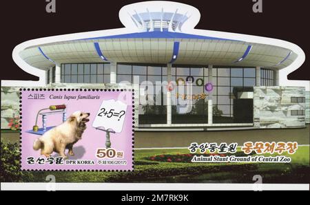 2017 North Korea stam set. Pyongyang Central ZOO. Animal stunt ground. Dog, canis familiaris Stock Photo