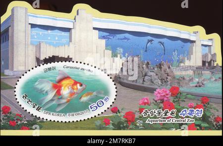 2017 North Korea stam set. Pyongyang Central ZOO. Aquarium, goldfish, carassius auratus Stock Photo