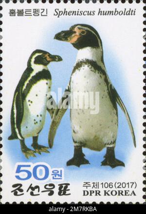 2017 North Korea stam set. Pyongyang Central ZOO. Penguin house. Humboldt penguin, spheniscus humboldti Stock Photo