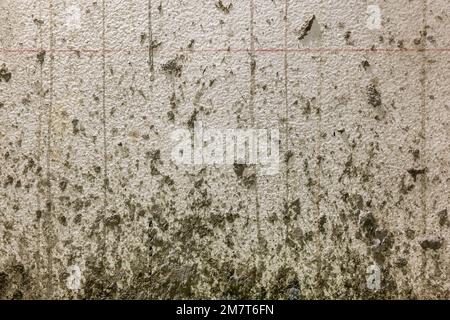 Renovation home , Concrete debris on wall from splashing of new concrete layer over old floor. Stock Photo