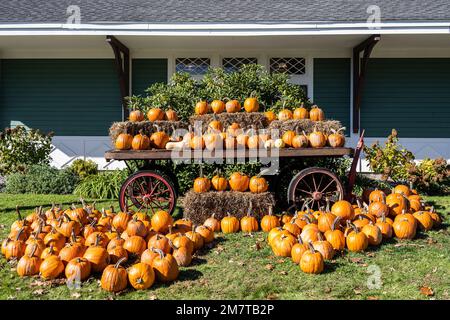 fall pumpkin display at the Seashore Trolley Museum Stock Photo