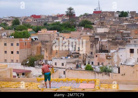 Fez, Morocco - man sets animal hides on a roof to dry under the sun at Chouara Tannery in Fes el Bali. 11th century tanning industry. City view. Stock Photo