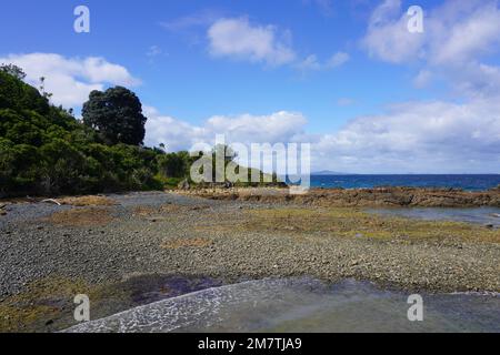 Tiritiri Matangi Landscape with a distant View of Rangitoto Island Stock Photo