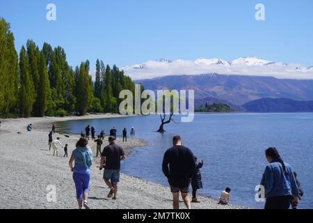 People headed for the Wanaka Tree on New Zealand’s South Island Stock Photo