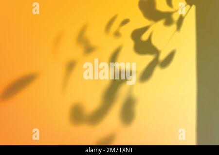 Abstract yellow gradient background vector with leaf shadow Stock Vector