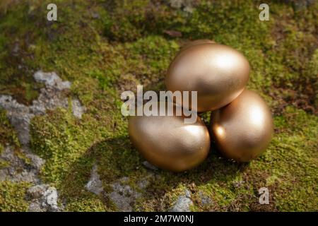 Four golden Easter eggs on moss Stock Photo