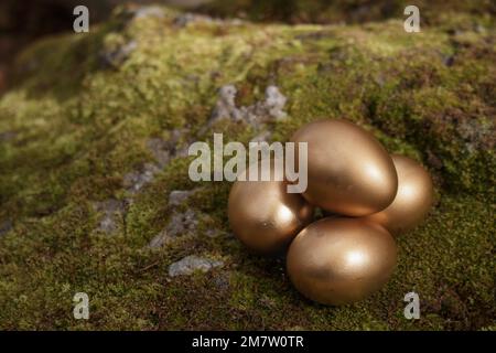 Four golden Easter eggs on moss Stock Photo