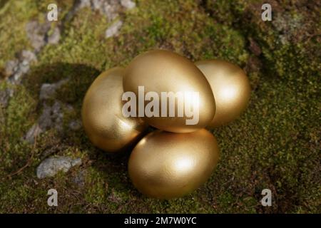 Four golden Easter eggs on moss Stock Photo