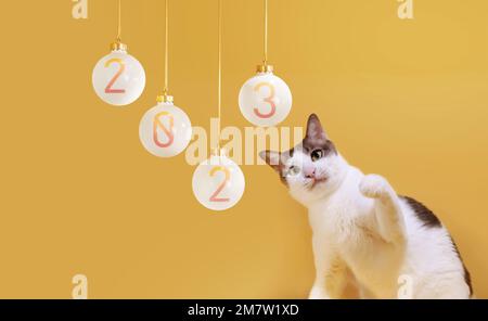 2023 on Smartphone for Planner and organizer to plan and reminder daily appointment, meeting agenda, schedule. Stock Photo