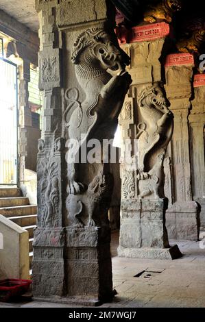 Mythical creature Yalli carved on the pillars of Meenakshi Temple Madurai state Tamil Nadu India Stock Photo