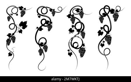 Grapevine with bunches of ripe grape berries and leaves. Corner decorative elements for decoration and design of alcoholic beverages. Minimalistic bla Stock Vector
