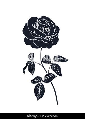 Rose tattoo vector hi-res stock photography and images - Alamy