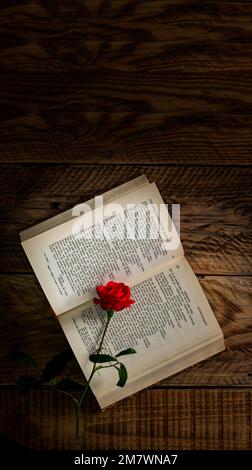 old book, in French, open and with a red rose laying on it on old wooden top. Novel romance book cover. Stock Photo
