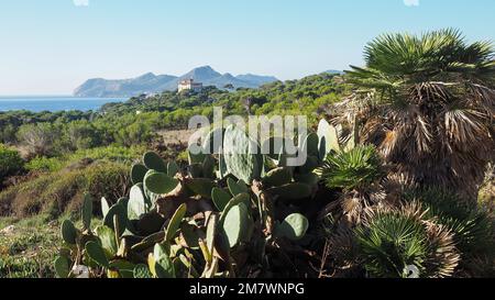 View of Villa March in Mediterranean landscape with cacti, Cala Rajada, Capdepera, Mallorca, Spain Stock Photo