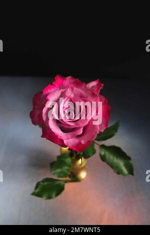 A single red rose in a small brass vase, view from above. Stock Photo