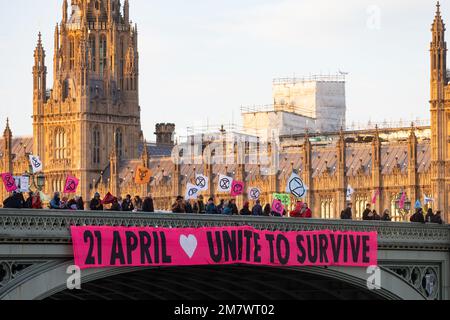 London, UK. 11 January, 2023. Climate activists from Extinction Rebellion drop a huge banner reading 'April 21st Unite To Survive' from Westminster Bridge. Extinction Rebellion recently announced a new year's resolution to 'prioritise attendance over arrest and relationships over roadblocks' following new legal restrictions on protests introduced by the government, with the aim of building support and collective power in advance of a Unite to Survive action on 21 April which they hope will be attended by 100,000 people. Credit: Mark Kerrison/Alamy Live News Stock Photo