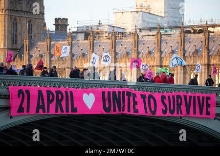 London, UK. 11 January, 2023. Climate activists from Extinction Rebellion drop a huge banner reading 'April 21st Unite To Survive' from Westminster Bridge. Extinction Rebellion recently announced a new year's resolution to 'prioritise attendance over arrest and relationships over roadblocks' following new legal restrictions on protests introduced by the government, with the aim of building support and collective power in advance of a Unite to Survive action on 21 April which they hope will be attended by 100,000 people. Credit: Mark Kerrison/Alamy Live News Stock Photo