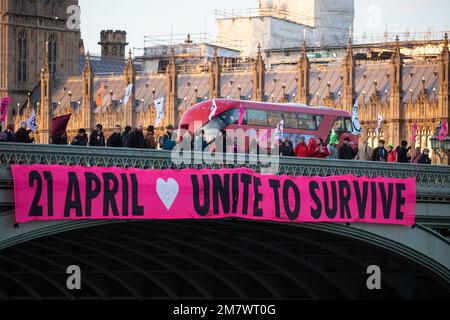 London, UK. 11 January, 2023. Climate activists from Extinction Rebellion drop a huge banner reading 'April 21st Unite To Survive' from Westminster Bridge. Extinction Rebellion recently announced a new year's resolution to 'prioritise attendance over arrest and relationships over roadblocks' following new legal restrictions on protests introduced by the government, with the aim of building support and collective power in advance of a Unite to Survive action on 21 April which they hope will be attended by 100,000 people. Credit: Mark Kerrison/Alamy Live News Stock Photo