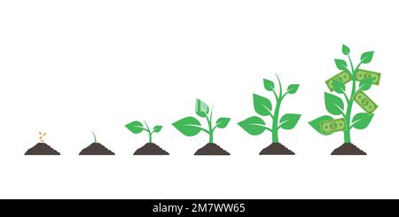 Gradual development line icon concept. Gradual development flat vector ...